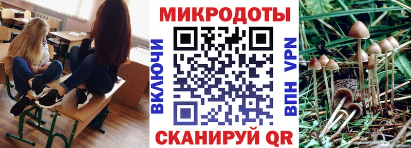 продажа наркотиков  Осташков  mega сайт  Псилоцибиновые грибы мицелий 